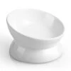LoeJan Elevated Cat Food Bowl, 5 Oz Ceramic Raised And Tilted Pet Water Bowl, Anti Vomiting And Protect Pets' Spines Cat Dishes For Small Dog, Fat Faced Cat, Kitten (White) -Pet Products Shop 21IEyFIHXSL