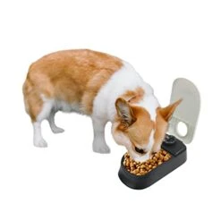 PAWISE Automatic Pet Feeder, Auto Dog Dry Food Dispenser With Timer For Cats And Dogs (1 Meal)