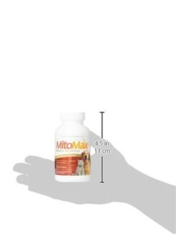 Imagilin Technology, LLC MitoMax-Premium Probiotics For Dogs And Cats, 100 Capsules Per Bottle -Pet Products Shop 319IYQKUcsL