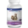 Cat Immune System - CAT Ultra Vitamins - Essential Minerals And NUTRIENTS - Immune Support - Hair And Coat Health - Vitamin C For Cats - 1 Bottle (90 Chewable Tablets) 1 Cat Immune System - CAT Ultra Vitamins - Essential Minerals And NUTRIENTS - Immune Support - Hair And Coat Health - Vitamin C For Cats - 1 Bottle (90 Chewable Tablets) -Pet Products Shop 31AFtP6EZ2S