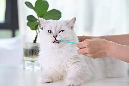 Soft Cat Toothbrush With 360-degree Head | Safe, Effective And Deep Pet Teeth Cleaning | Brush Away Bad Breath | Food Grade Silicone (2 Pack, Mint Green, Rose Pink) 5 Soft Cat Toothbrush With 360-degree Head | Safe, Effective And Deep Pet Teeth Cleaning | Brush Away Bad Breath | Food Grade Silicone (2 Pack, Mint Green, Rose Pink) - Image 3