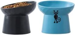 TAMAYKIM Tilted Ceramic Elevated Cat Bowls, Raised Food And Water Bowl Set For Kitty Cats And Small Dogs, Porcelain Elevated Stress Free Feeding Pet Bowl Dish, Black & Orange, Set Of 2 -Pet Products Shop 31RczyzfHcL. AC