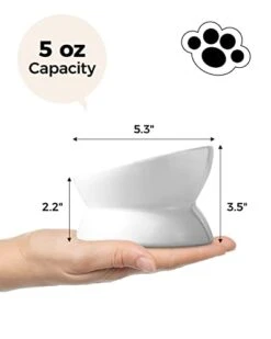 LoeJan Elevated Cat Food Bowl, 5 Oz Ceramic Raised And Tilted Pet Water Bowl, Anti Vomiting And Protect Pets' Spines Cat Dishes For Small Dog, Fat Faced Cat, Kitten (White) -Pet Products Shop 31SujlwPaSL