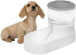 Kathson Automatic Dog Water Dispenser 1 Gallon Gravity Cat Water Dispenser Dogs Water Station Bowl Large Capacity Feeder Waterer Pet Drinking Fountain Pink 30 Kathson Automatic Dog Water Dispenser 1 Gallon Gravity Cat Water Dispenser Dogs Water Station Bowl Large Capacity Feeder Waterer Pet Drinking Fountain Pink -Pet Products Shop 31b7atJo aL. AC