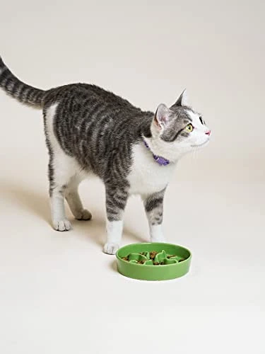 Ceramic Slow Feeder Dog Bowls Small Breed, 0.5 Cups Dog Food Dish For Fast Eaters, Puzzle Bowl For Small Dogs And Cats,5.5 Inch-Green 7 Ceramic Slow Feeder Dog Bowls Small Breed, 0.5 Cups Dog Food Dish For Fast Eaters, Puzzle Bowl For Small Dogs And Cats,5.5 Inch-Green - Image 5