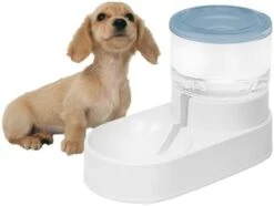 Kathson Automatic Dog Water Dispenser 1 Gallon Gravity Cat Water Dispenser Dogs Water Station Bowl Large Capacity Feeder Waterer Pet Drinking Fountain Pink 24 Kathson Automatic Dog Water Dispenser 1 Gallon Gravity Cat Water Dispenser Dogs Water Station Bowl Large Capacity Feeder Waterer Pet Drinking Fountain Pink -Pet Products Shop 31kyLoU9gtL. AC