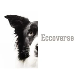 GENERIC ECCOVERSE PET Cleaning KIT For Dog's Teeth Cleaning Pets Dental Care Harmless Cleaning Kit Pets Oral Health Eco-Friendly, White (PTB24) 13 GENERIC ECCOVERSE PET Cleaning KIT For Dog's Teeth Cleaning Pets Dental Care Harmless Cleaning Kit Pets Oral Health Eco-Friendly, White (PTB24) -Pet Products Shop 31rDE4o9l2L