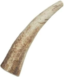 Health Extension Natural Elk Antlers For Dogs Chews, Long-Lasting Bone For Aggressive Chewers, Puppy Training Treat, Promote Healthier Dental Teeth And Gums, Small Whole Size -Pet Products Shop 31vtdoz1XpL. AC
