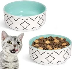 MSBC Ceramic Cat Bowls(13oz/390ml), Cute Cat Food And Water Feeder Set, Dog Cat Basic Bowl, Small Pet Feeding Dishes For Cat, Kitten, Small Dog, Whisker Stress Free, Dishwasher Safe, Set Of 2, Pink 14 MSBC Ceramic Cat Bowls(13oz/390ml), Cute Cat Food And Water Feeder Set, Dog Cat Basic Bowl, Small Pet Feeding Dishes For Cat, Kitten, Small Dog, Whisker Stress Free, Dishwasher Safe, Set Of 2, Pink -Pet Products Shop 41 EAn9PCiL. AC