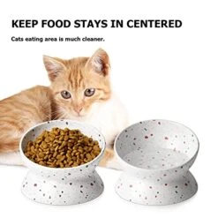 Y YHY Elevated Cat Bowls Anti-Vomiting, Tilted Raised Cat Bowl, Ceramic Cat Bowls For Flat Faced Cats, Small Dogs, Protect Pets Spine, Dishwasher And Microwave Safe -Pet Products Shop 410TwBcUn5L