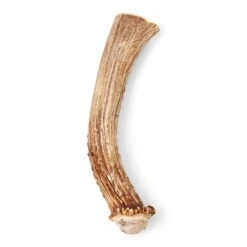 Good Lovin' Naturally Shed Whole Deer Antler Dog Chew -Pet Products Shop 410w5i9XZdL