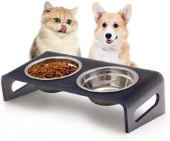 Tilted Raised Cat Bowls, Elevated 15° Orthopedic Bowls For Puppy Or Small Dog, 4 Stainless Steel Pet Feeding Food Dishes Set, Durable Acrylic Stand, Easy To Clean, Also Perfect For Travel (Clear) -Pet Products Shop 411QSO2BG7L. AC
