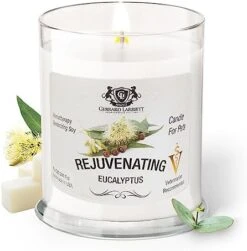 Gerrard Larriett - Deodorizing Soy Candles For Pets, Scented Candles For Removing Pet/Household Odors, Lasts Up To 40 Hours, White Candles For Home Scented With De-Stress Lavender & Chamomile Fragrance, 10 Oz 25 Gerrard Larriett - Deodorizing Soy Candles For Pets, Scented Candles For Removing Pet/Household Odors, Lasts Up To 40 Hours, White Candles For Home Scented With De-Stress Lavender & Chamomile Fragrance, 10 Oz -Pet Products Shop 412vCkQ6ydL. AC