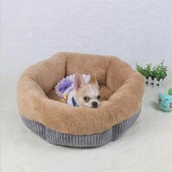 SENERY Winter Warm Beds For Small Dogs Deep Dish Dirt-Resist Waterproof Pet House Soft Comfort Puppy Cat Nest -Pet Products Shop 413EoGPQTzL. AC