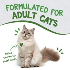 Earthborn Holistic Chicken Catcciatori Grain-Free Moist Cat Food 3 Ounce (Pack Of 24) -Pet Products Shop 41447JC28WL