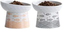 TAMAYKIM Tilted Ceramic Elevated Cat Bowls, Raised Food And Water Bowl Set For Kitty Cats And Small Dogs, Porcelain Elevated Stress Free Feeding Pet Bowl Dish, Black & Orange, Set Of 2 -Pet Products Shop 414HOHziEkL. AC