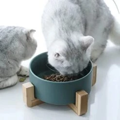 FOTABPYTI Ceramic Pet Bowl, Dog Cat Litter Box Stable Multifunctional Large Capacity Easy To Clean With Wooden Stand For Pet Cats For Home -Pet Products Shop 414LdGiA5pL