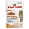 Royal Canin Intense Beauty In Jelly Cat Food 12 X 85g -Pet Products Shop 414lwvok00L