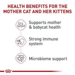 Royal Canin Feline Health Nutrition Mother & Babycat Dry Cat Food For Newborn Kittens And Pregnant Or Nursing Cats, 6 Lb Bag 9 Royal Canin Feline Health Nutrition Mother & Babycat Dry Cat Food For Newborn Kittens And Pregnant Or Nursing Cats, 6 Lb Bag -Pet Products Shop 414q87Or3WL