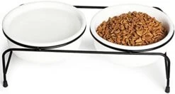 GDCZ Porcelain Raised Cat Or Small Dog Bowls With Heighten Metal Stand And Non-Slip Bottom For Pet Food And Water Dishes, 15 Ounces (Grey) -Pet Products Shop 4162oKEhllL. AC