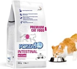 Forza10 Active Intestinal Support Diet Dry Cat Food For Adult Cats, Cat Food Dry For Upset Stomach, Diarrhea And Intestinal Disorders, Wild Caught Anchovy Flavor, 4 Pound Bag -Pet Products Shop 416KeTZiyML. AC