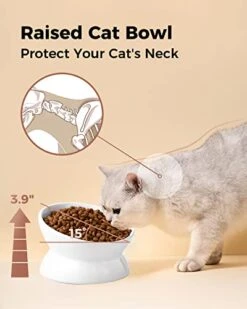 LoeJan Elevated Cat Food Bowl, 5 Oz Ceramic Raised And Tilted Pet Water Bowl, Anti Vomiting And Protect Pets' Spines Cat Dishes For Small Dog, Fat Faced Cat, Kitten (White) -Pet Products Shop 416lEBqqBzL