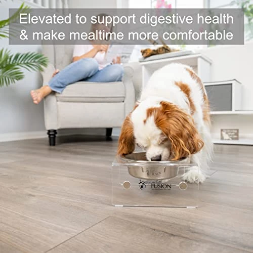 PetFusion Elevated Dog Bowls, Cat Bowls |Innovative Raised Pet Feeder With Embedded Magnets, Attach, Detach, Add On, Mix & Match |Short 4' & Tall 9' Elevated Feeder, Singles Or Pairs |12 Month Warr 4 PetFusion Elevated Dog Bowls, Cat Bowls |Innovative Raised Pet Feeder With Embedded Magnets, Attach, Detach, Add On, Mix & Match |Short 4' & Tall 9' Elevated Feeder, Singles Or Pairs |12 Month Warr - Image 2