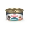 Royal Canin Hairball Care Thin Slices In Gravy Wet Cat Food, 3 Oz Can -Pet Products Shop 417cGgxwrAL