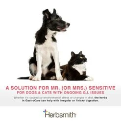 Herbsmith GastroCare - For Cats & Dogs With Sensitive Stomachs - Cat And Dog Digestive Support - Ease Canine And Feline Sensitive Stomach - 75g -Pet Products Shop 418rfVgJYnL