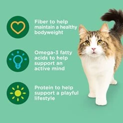 Rachael Ray Nutrish Indoor Complete Premium Natural Dry Cat Food, Chicken With Lentils & Salmon Recipe, 14 Pounds (Packaging May Vary) -Pet Products Shop 419IHrCvH0L