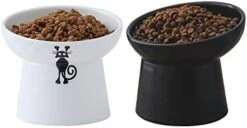 Tilted Ceramic Raised Cat Bowls, 8 OZ Food And Water Bowls Set For Kitty, 5 In Porcelain Elevated Stress Free Feeding Pet Dish, Dishwasher And Microwave Safe (White & Pink) -Pet Products Shop 419pMkuD8gL. AC