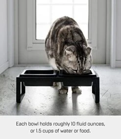 Yamazaki Home Tower Steel And Ceramic Pet Food Stand | 2 Bowls For Food And Water | Feeder For Small Cats And Dogs | Non-Slip - Tall - 1.25 Cups, 300 Milliliters Per Bowl -Pet Products Shop 41AAKcF5ngL