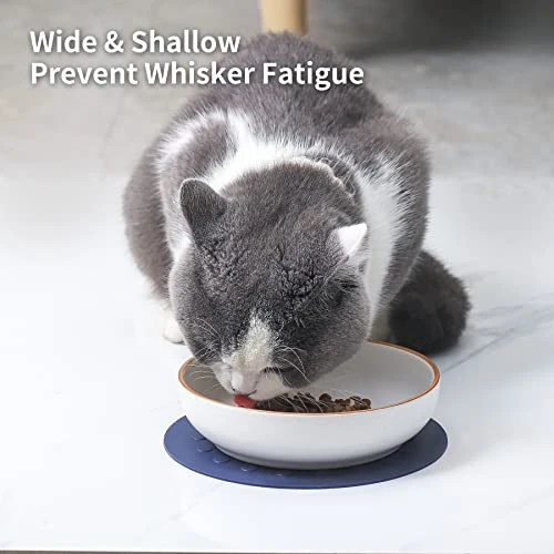 Howise 6inch Ceramic Cat Bowls With Non-Slip Mat | 3 Cat Dishes For Food And Water Set | Wide Shallow Cat Bowl Relief Whisker Fatigue | Cat Food Bowl Pet Kitten Bowl, White Cat Dish 5 Howise 6inch Ceramic Cat Bowls With Non-Slip Mat | 3 Cat Dishes For Food And Water Set | Wide Shallow Cat Bowl Relief Whisker Fatigue | Cat Food Bowl Pet Kitten Bowl, White Cat Dish - Image 3