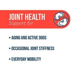 Synovi G3 Soft Chews Glucosamine Joint Supplement For Dogs, 120 Count -Pet Products Shop 41C4XeVipGL