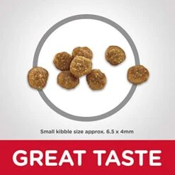 Hill's Science Diet Dry Cat Food, Adult 11+ For Senior Cats, Chicken Recipe, 3.5 Lb. Bag -Pet Products Shop 41CQRhbgfGL