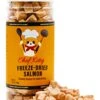 Chef Kitty - Premium Freeze Dried Cat Treats Salmon 1.75oz -Pet Products Shop 41CnEDS1YQL