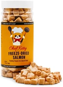 Chef Kitty - Premium Freeze Dried Cat Treats Salmon 1.75oz -Pet Products Shop 41CnEDS1YQL. AC