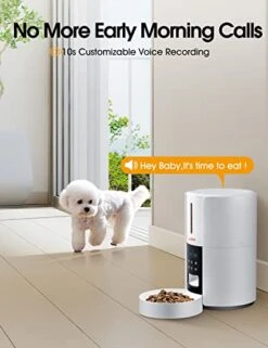 WOPET Automatic Timed Cat Feeder - Cat Dry Food Dispenser 6 Meals Daily With Portion Control, 3L Programable Pet Feeder For Indoor Cats And Small Medium Dogs, Dual Power Supply, 10s Meal Call -Pet Products Shop 41D1BQIPDkL