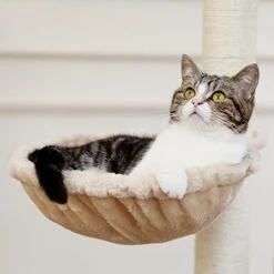 66" In Cat Tree Multi-Level Cat Tower With Fully Sisal Covering Scratching Posts,CARB-Certified Board,Deluxe Condos And Large Space Capsule Nest -Pet Products Shop 41DslTRZGXL