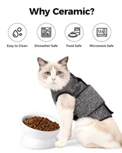 LoeJan Elevated Cat Food Bowl, 5 Oz Ceramic Raised And Tilted Pet Water Bowl, Anti Vomiting And Protect Pets' Spines Cat Dishes For Small Dog, Fat Faced Cat, Kitten (White) -Pet Products Shop 41E1gjKmBXL