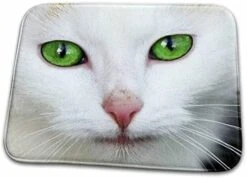 3dRose RinaPiro - Cats - Kitty White, Cat, Pet, Animal - Dish Drying Mats (ddm-215165-1) -Pet Products Shop 41EkFYqy1LL. AC