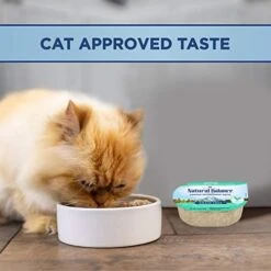 Natural Balance Limited Ingredient Diet Chicken & Pumpkin In Broth | Grain-Free Wet Adult Cat Food | 2.75-oz. Cup, (Pack Of 24) -Pet Products Shop 41EsCN1EL2L