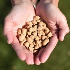 Steve's Real Food Quest Super Premium Freeze Dried Raw Cat Food, White Fish Recipe, 10oz, Prey Model Diet, Wild Caught & Sustainably Raised, Made In The USA -Pet Products Shop 41F0TWavxeL