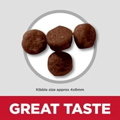 Hill's Science Diet Kitten Ocean Fish & Brown Rice Recipe Dry Cat Food, 3.5 Lb. Bag -Pet Products Shop 41GJtybGScL