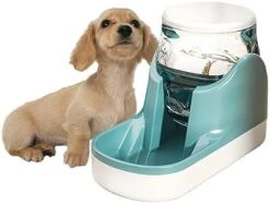 Kathson Automatic Dog Water Dispenser 1 Gallon Gravity Cat Water Dispenser Dogs Water Station Bowl Large Capacity Feeder Waterer Pet Drinking Fountain Pink 23 Kathson Automatic Dog Water Dispenser 1 Gallon Gravity Cat Water Dispenser Dogs Water Station Bowl Large Capacity Feeder Waterer Pet Drinking Fountain Pink -Pet Products Shop 41Hh3KEQFTL. AC