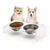 Tilted Raised Cat Bowls, Elevated 15° Orthopedic Bowls For Puppy Or Small Dog, 4 Stainless Steel Pet Feeding Food Dishes Set, Durable Acrylic Stand, Easy To Clean, Also Perfect For Travel (Clear) -Pet Products Shop 41IU9OwgapL
