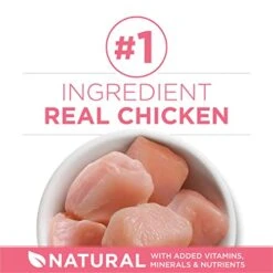 Purina ONE High Protein, Natural Dry Kitten Food, +Plus Healthy Kitten Formula - 7 Lb. Bag -Pet Products Shop 41JOebDCKjL 1