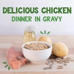 Earthborn Holistic Chicken Catcciatori Grain-Free Moist Cat Food 3 Ounce (Pack Of 24) -Pet Products Shop 41K4Q3y1HrL