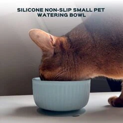 Silicone Non-Slip Small Pet Watering Bowl, Cat Food Bowl, Dog Feeding Bowl, Kitten Feeding Bowl (SoftPink) -Pet Products Shop 41L2gwZcFSL
