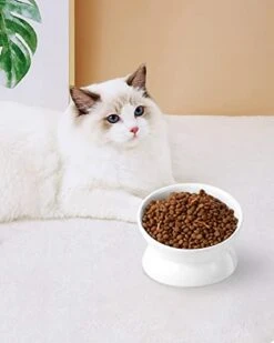 LoeJan Elevated Cat Food Bowl, 5 Oz Ceramic Raised And Tilted Pet Water Bowl, Anti Vomiting And Protect Pets' Spines Cat Dishes For Small Dog, Fat Faced Cat, Kitten (White) -Pet Products Shop 41LdemxYiuL
